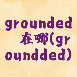 grounded蛴螬在哪(groundded)