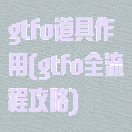 gtfo道具作用(gtfo全流程攻略)