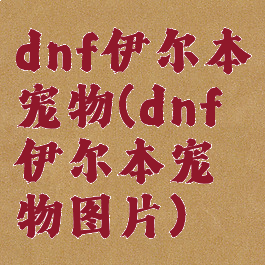 dnf伊尔本宠物(dnf伊尔本宠物图片)