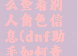 dnf助手怎么查看别人角色信息(dnf助手如何查看别人)