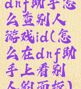 dnf助手怎么查别人游戏id(怎么在dnf助手上看别人的面板)
