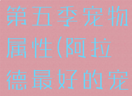 dnf阿拉德第五季宠物属性(阿拉德最好的宠物三个)