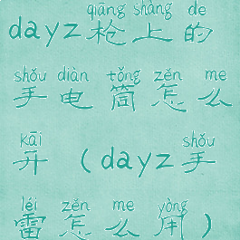 dayz枪上的手电筒怎么开(dayz手雷怎么用)