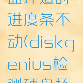 diskgenius检测硬盘坏道时进度条不动(diskgenius检测硬盘坏道过程中死机)