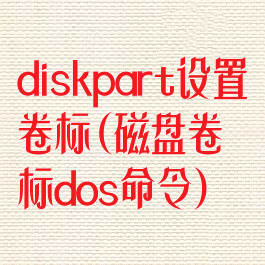 diskpart设置卷标(磁盘卷标dos命令)