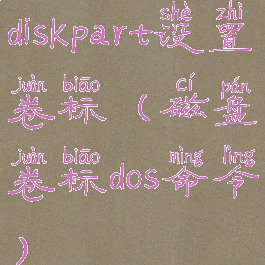 diskpart设置卷标(磁盘卷标dos命令)