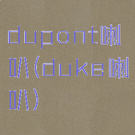 dupont喇叭(duke喇叭)