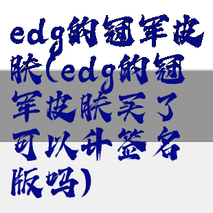 edg的冠军皮肤(edg的冠军皮肤买了可以升签名版吗)