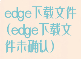 edge下载文件(edge下载文件未确认)