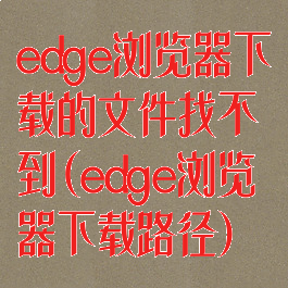edge浏览器下载的文件找不到(edge浏览器下载路径)