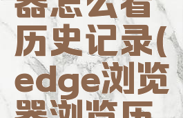 edge浏览器怎么看历史记录(edge浏览器浏览历史本地)