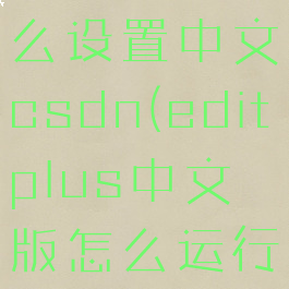 editplus怎么设置中文csdn(editplus中文版怎么运行程序)