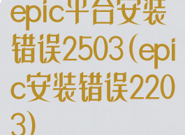 epic平台安装错误2503(epic安装错误2203)