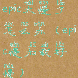 epic太慢了怎么办(epic慢加载好慢)