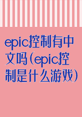 epic控制有中文吗(epic控制是什么游戏)