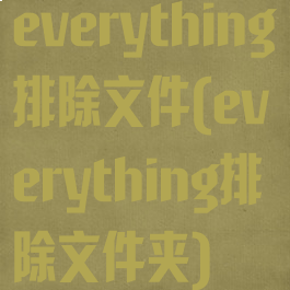 everything排除文件(everything排除文件夹)