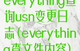 everything查询usn变更日志(everything查文件内容)