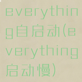 everything自启动(everything启动慢)