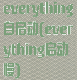 everything自启动(everything启动慢)