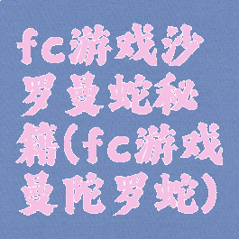 fc游戏沙罗曼蛇秘籍(fc游戏曼陀罗蛇)