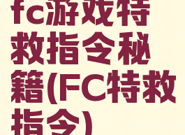 fc游戏特救指令秘籍(FC特救指令)