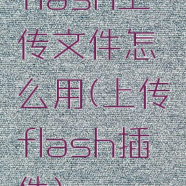 flash上传文件怎么用(上传flash插件)