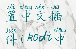 kodi怎么设置中文插件(kodi中文插件)