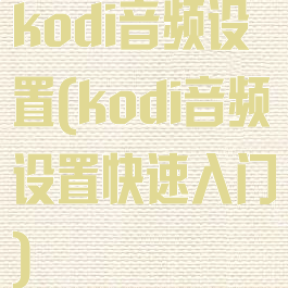 kodi音频设置(kodi音频设置快速入门)