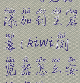 kiwi浏览器添加到主屏幕(kiwi浏览器怎么安装插件)