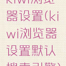 kiwi浏览器设置(kiwi浏览器设置默认搜索引擎)