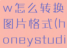honeyview怎么转换图片格式(honeystudio怎么播放)