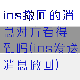 ins撤回的消息对方看得到吗(ins发送消息撤回)