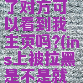 ins被拉黑了对方可以看到我主页吗?(ins上被拉黑是不是就看不见人)