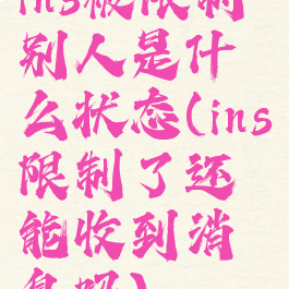 ins被限制别人是什么状态(ins限制了还能收到消息吗)