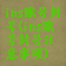 ins账号封号(ins账号封号注意事项)