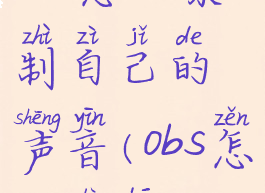 obs怎么录制自己的声音(obs怎么录播)