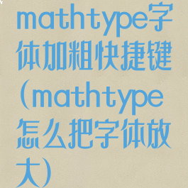 mathtype字体加粗快捷键(mathtype怎么把字体放大)