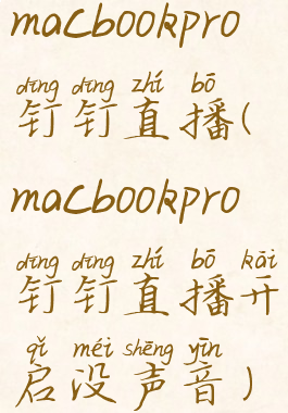 macbookpro钉钉直播(macbookpro钉钉直播开启没声音)