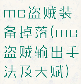 mc盗贼装备掉落(mc盗贼输出手法及天赋)