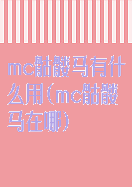 mc骷髅马有什么用(mc骷髅马在哪)