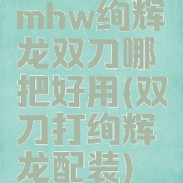 mhw绚辉龙双刀哪把好用(双刀打绚辉龙配装)