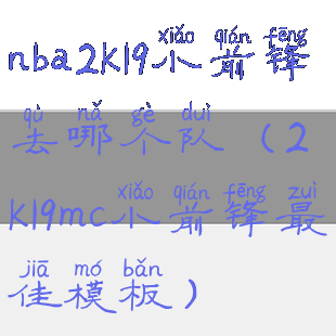 nba2k19小前锋去哪个队(2k19mc小前锋最佳模板)