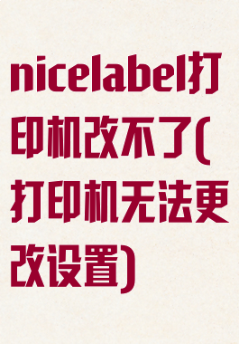 nicelabel打印机改不了(打印机无法更改设置)