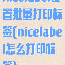 nicelabel设置批量打印标签(nicelabel怎么打印标签)