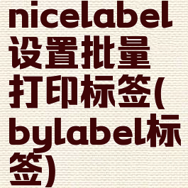 nicelabel设置批量打印标签(bylabel标签)