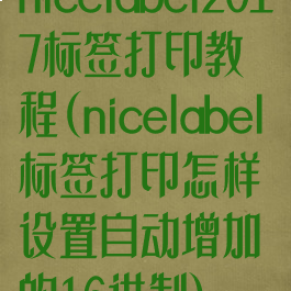 nicelabel2017标签打印教程(nicelabel标签打印怎样设置自动增加的16进制)