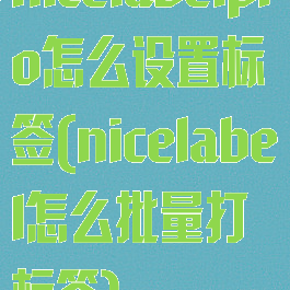 nicelabelpro怎么设置标签(nicelabel怎么批量打标签)