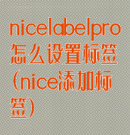 nicelabelpro怎么设置标签(nice添加标签)