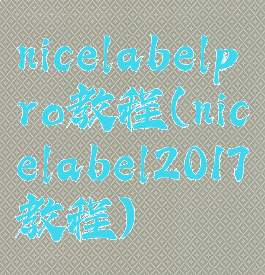 nicelabelpro教程(nicelabel2017教程)