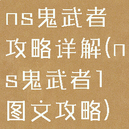 ns鬼武者攻略详解(ns鬼武者1图文攻略)